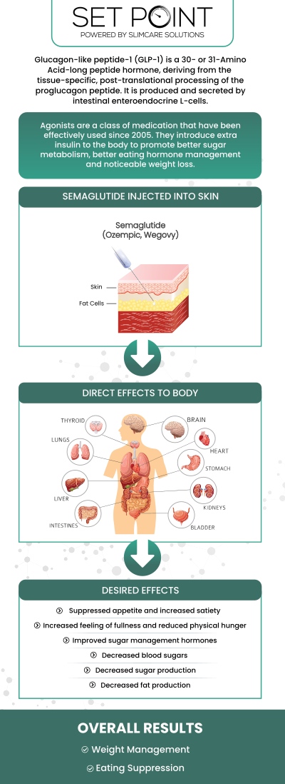 Set Point provides effective and secure medical weight loss solutions. While most diets and weight loss programs focus on changing eating habits, that is only one part of the equation. Busy lifestyles, daily stress, hormones, genetics, and aging can all contribute to weight gain, but they do not have to control it. Our team of medical weight loss professionals is here to support you on your weight loss journey with our personalized approach. We offer comprehensive services including medical weight loss programs, semaglutide GLP-1, tirzepatide, red light therapy, and much more. For more information, contact us or schedule an appointment online. We have convenient locations to serve you in Folsom, CA and Roseville, CA. We serve patients from Folsom CA, Roseville CA, El Dorado Hills CA, Citrus Heights CA, Fair Oaks CA, Granite Bay CA, Rocklin CA, Rancho Cordova CA, Loomis CA, and surrounding areas. Set Point provides effective and secure medical weight loss solutions. While most diets and weight loss programs focus on changing eating habits, that is only one part of the equation. Busy lifestyles, daily stress, hormones, genetics, and aging can all contribute to weight gain, but they do not have to control it. Our team of medical weight loss professionals is here to support you on your weight loss journey with our personalized approach. We offer comprehensive services including medical weight loss programs, semaglutide GLP-1, tirzepatide, red light therapy, and much more. For more information, contact us or schedule an appointment online. We have convenient locations to serve you in Folsom, CA and Roseville, CA. We serve patients from Folsom CA, Roseville CA, El Dorado Hills CA, Citrus Heights CA, Fair Oaks CA, Granite Bay CA, Rocklin CA, Rancho Cordova CA, Loomis CA, and surrounding areas.